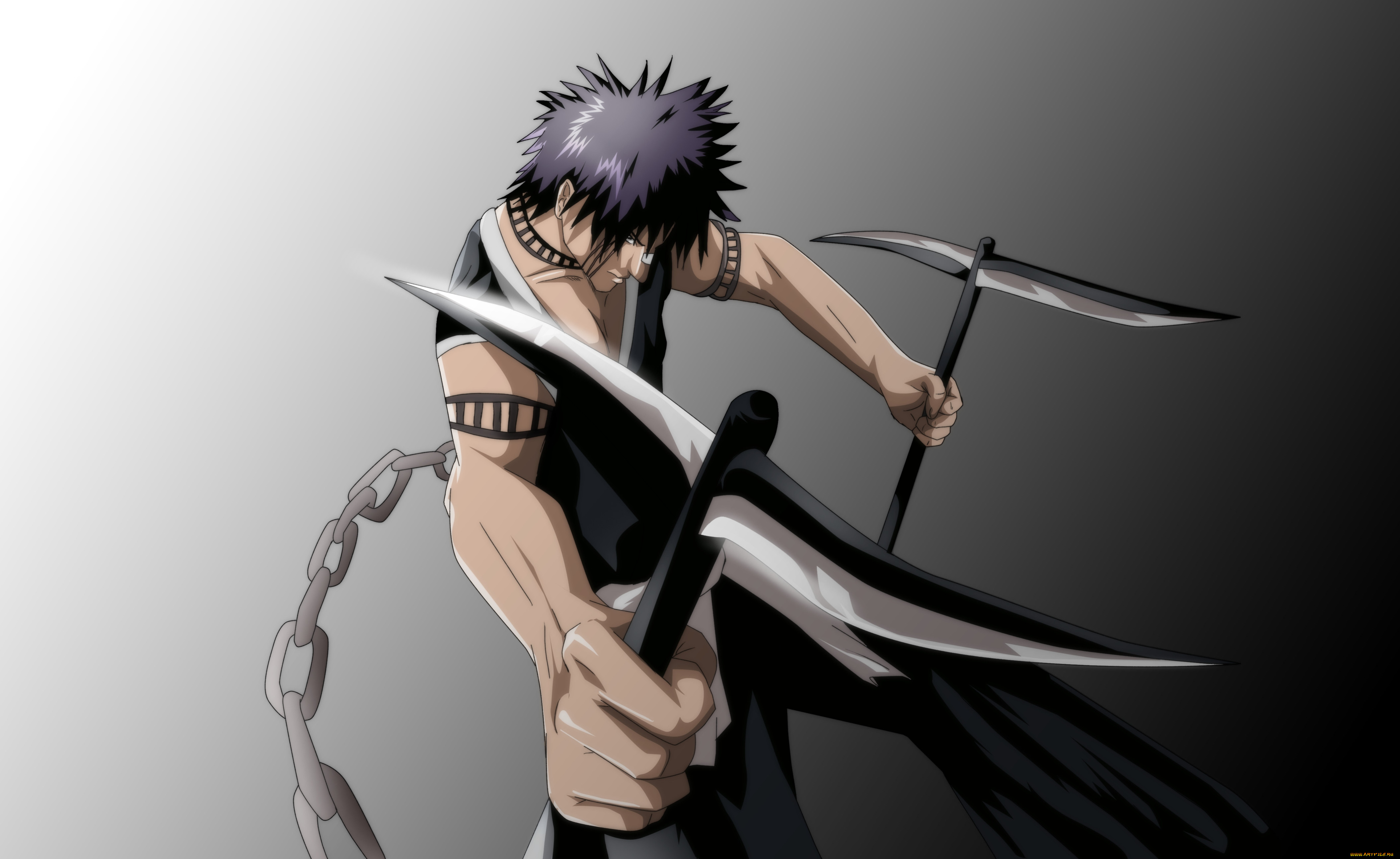 , bleach, , , , , , , 